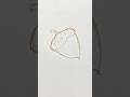 How To Draw An Acorn Sketch Shorts