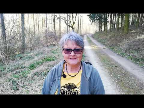 8 gesunde Wildkräuter erkennen