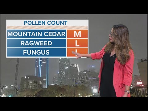 Pollen Count Today Dallas