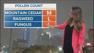 A look at pollen count in North Texas