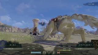 ファイアーエムブレム万紫千紅#15