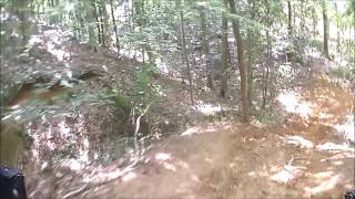 Heart of Dixie July 2016