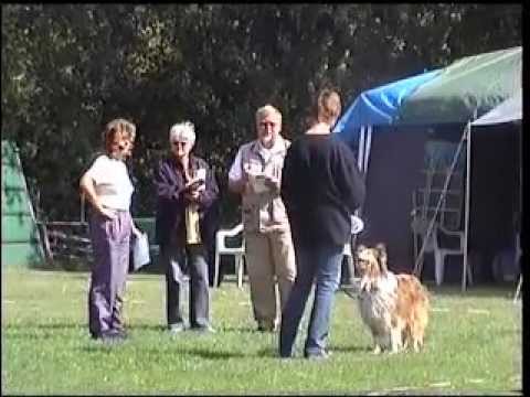 Dorina Obedience 1 Prüfung Ahrensburg 2003