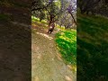 S Status Chhori Ke Lena Reema Sen Hot Video