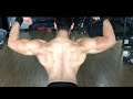 advance level workout | back day