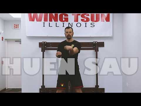 Follow Along Siu Nim Tau - Leung Ting Wing Tsun