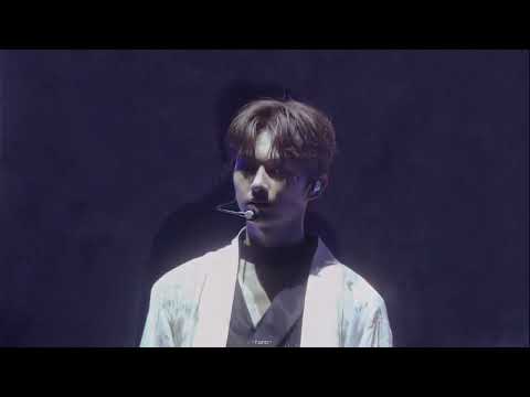 SEVENTEEN | Lilili Yabbay (PeformanceTeam) - 2019 World Tour 'Ode To You' [Japan]