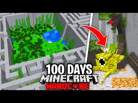 aCookieGod - I Survived 100 Days as a MAZE RUNNER in Hardcore Minecraft... Here's What Happened