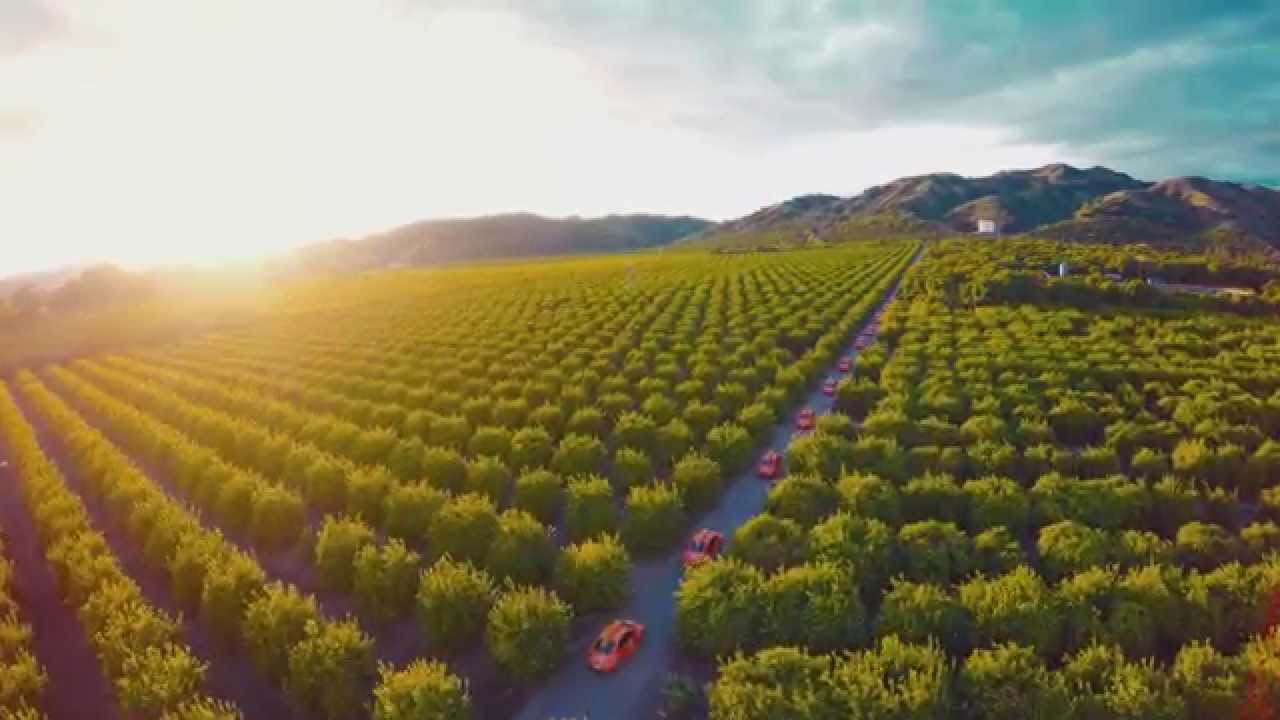 Bringing Summer with Shock Top - Full Version