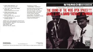 David &quot;Fathead&quot; Newman &amp; James Clay - They can&#39;t take that away from me