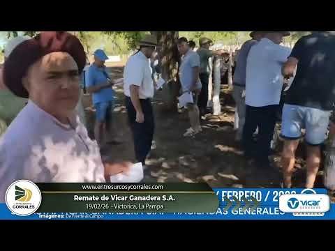 19-02-26 - Remate de Vicar Ganadera en Victorica, La Pampa