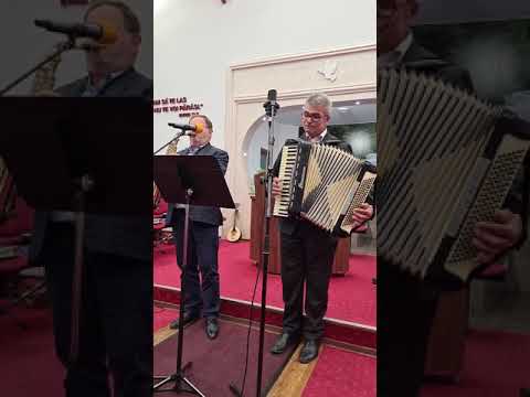 Grupul Măslinul Hațeg  - Nu-am sa pot eu Doamne niciodată