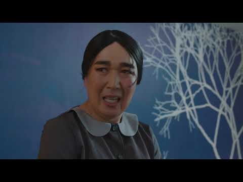 17 PRO MAX-Хоёр үйлчлэгч