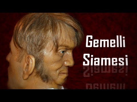 Analisi del sangue e di helminths I parassiti di gambe fanno male