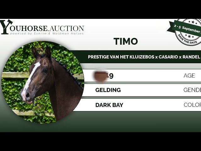 Timo under the saddle