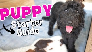FIRST DAYS WITH YOUR PUPPY! 🐶 What to do first