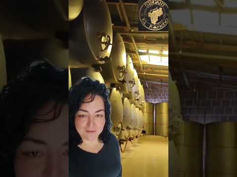 Camargo Trail 2025: ¡Corre en la tierra del vino y descubre un paraíso en Bolivia!