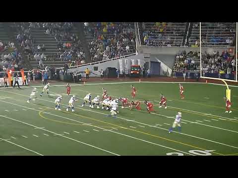 Winnipeg Blue Bombers Zach Collaros throws 12-yard TD pass to Drew Wolitarsky vs. Montreal Alouettes