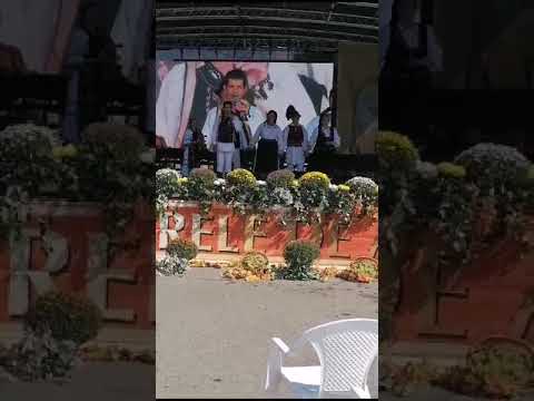 Nicolae Tuhut Strugurele de Aur 2023