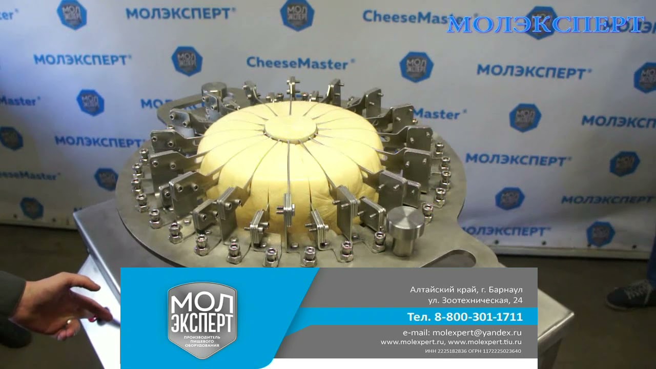 Нарезка сыра на оборудовании МОЛЭКСПЕРТ