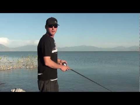 MOREAU BAITS SALTWATER TOPWATER FISHING LURE