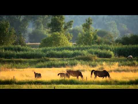 Plante , peisaje si tuneluri abandonate