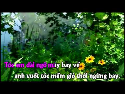 Đưa em về ngày mộng - Diệu Hiền