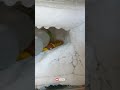 अगर आपके फ्रिज में मोटी मोटी बर्फ जमा �