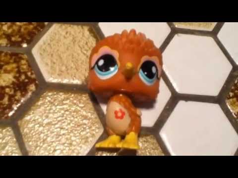 Littlest Pet Shop: my kiwi bird