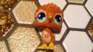 Littlest Pet Shop: my kiwi bird