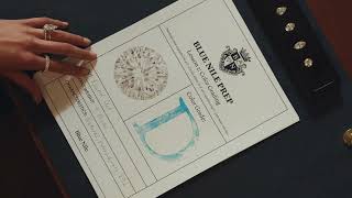 Blue Nile Grading the GIA Way at Blue Nile Prep – 2026 Educational