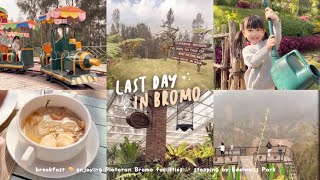 Bromo day 2: enjoying Plataran Bromo Facilities, Breakfast, stopping by edelweis