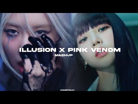Illusion x Pink Venom Mashup (Remix ver)