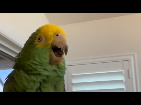 Ba ba ba ba ba Barbara Ann