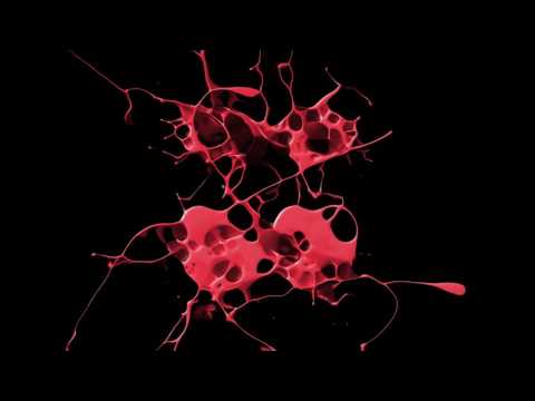 Inusa Dawuda & Jack Morado - Shake Your Moneymaker (Mikro Housebrothers & Boris Roodbwoy Club Mix)