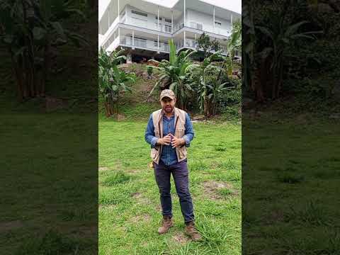 Avalúo en San Francisco Cundinamarca.