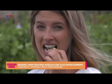 Cruising Israel- Nov. 14, 2018