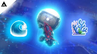 coral ft. digitalkiwi