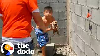 Little Boy Been Sneaking Out Of Home To Feed Stray Puppies | The Dodo
