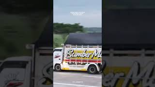 Download lagu truk oleng parah di tol cipali viral tiktok mp3 Download lagu truk oleng parah di tol cipali viral tiktok mp3