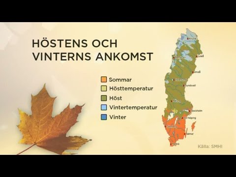 Meteorologen: "Vi har tre årstider just nu i landet" - Nyhetsmorgon (TV4)