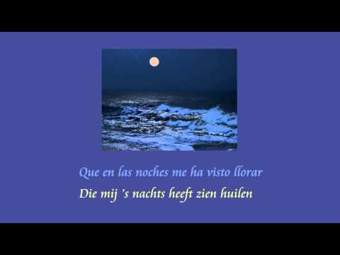 Shakira - Hay Amores (met Nederlandse vertaling)