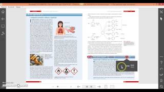 Ibridazione Carbonio