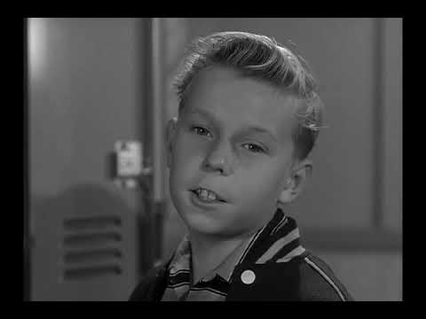 Leave It To Beaver  - S04E09 - Beaver's I.Q.