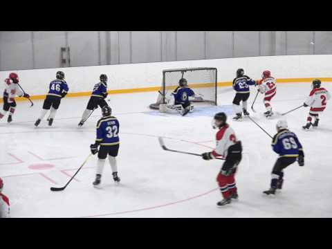 BJR03 Yellow A - Red Wings (2-4) 8.3.2017