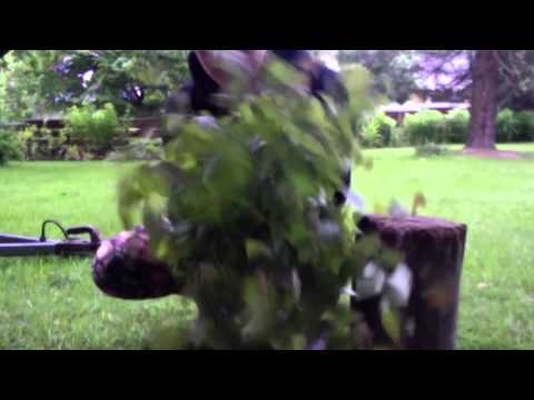 Episode 2: Sauna // How To Make a Vihta