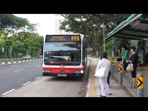 Top 9 differences between SBS Transit and SMRT CITAROS