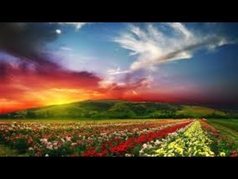 Gardner Funeral Service