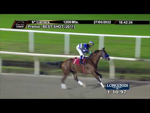 220527 c06 LINDA EFFECT (BRZ)