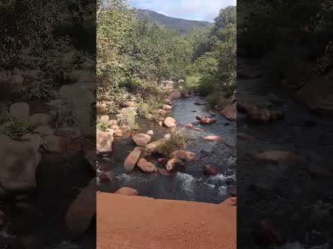 RIO DA ONÇA JOAQUIM FELICIO ❤️